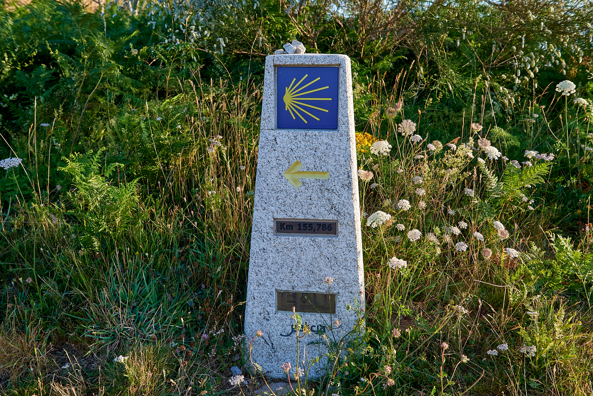 20190803 230 Spain 알토 데 산 로께 성야곱 동상